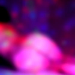 Gabriel Salucci photo