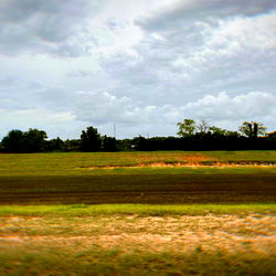 Tranquil Countryside Scene