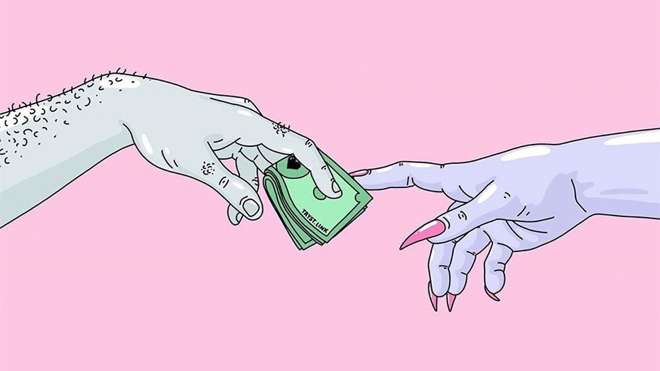 CamMasterFlex VIP photo