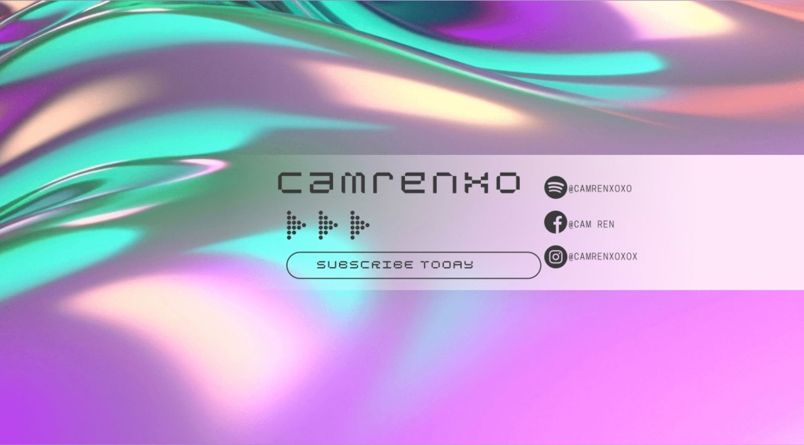 CamMasterFlex VIP photo