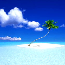 Hollywood_Untamed photo