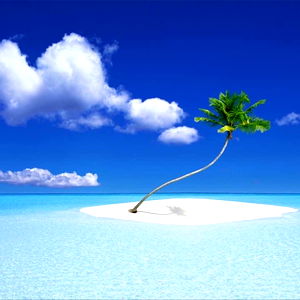 Hollywood_Untamed photo