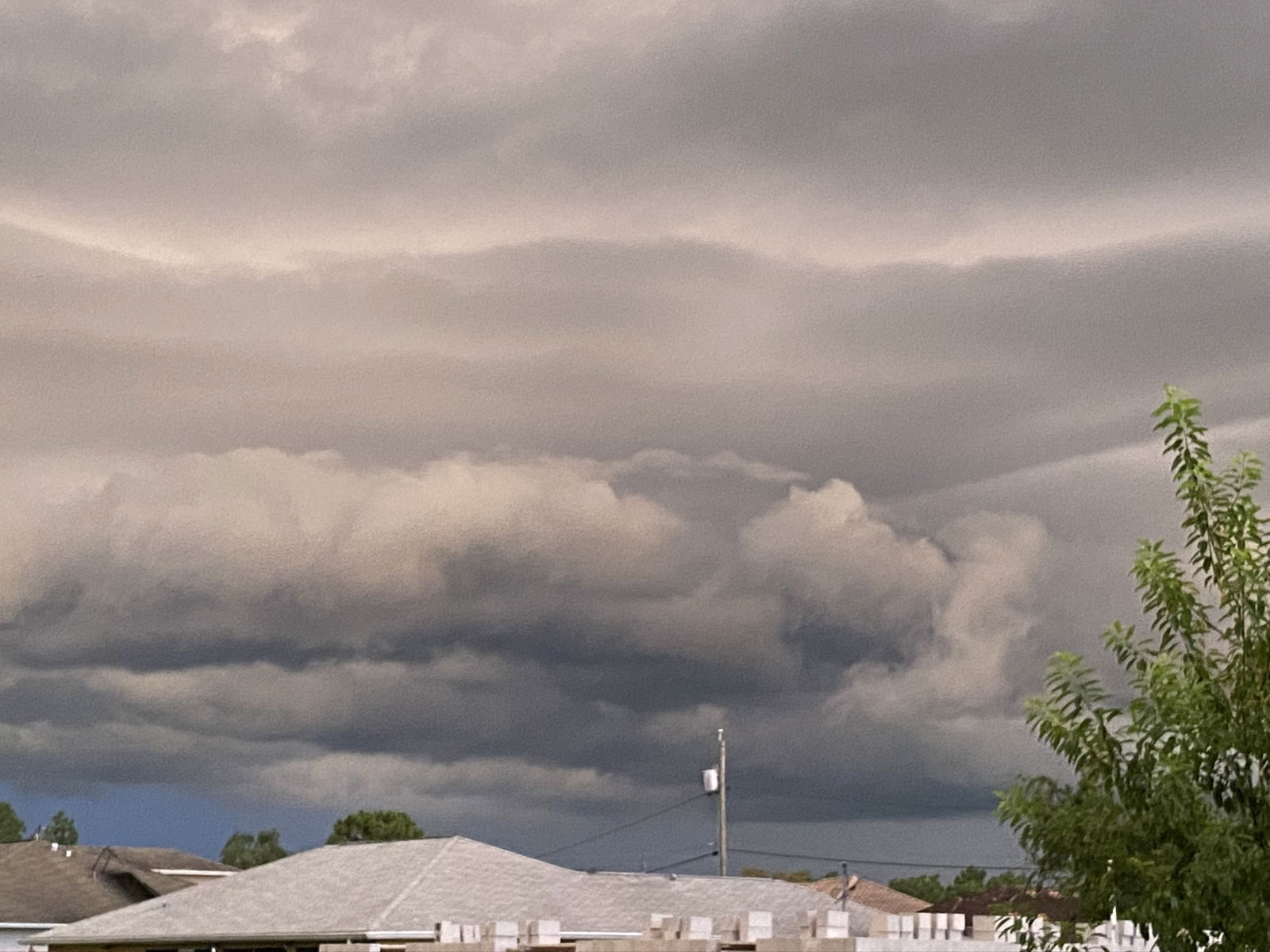 Amazon Vixxxen (Vixxx) photo