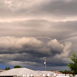 Amazon Vixxxen (Vixxx) photo