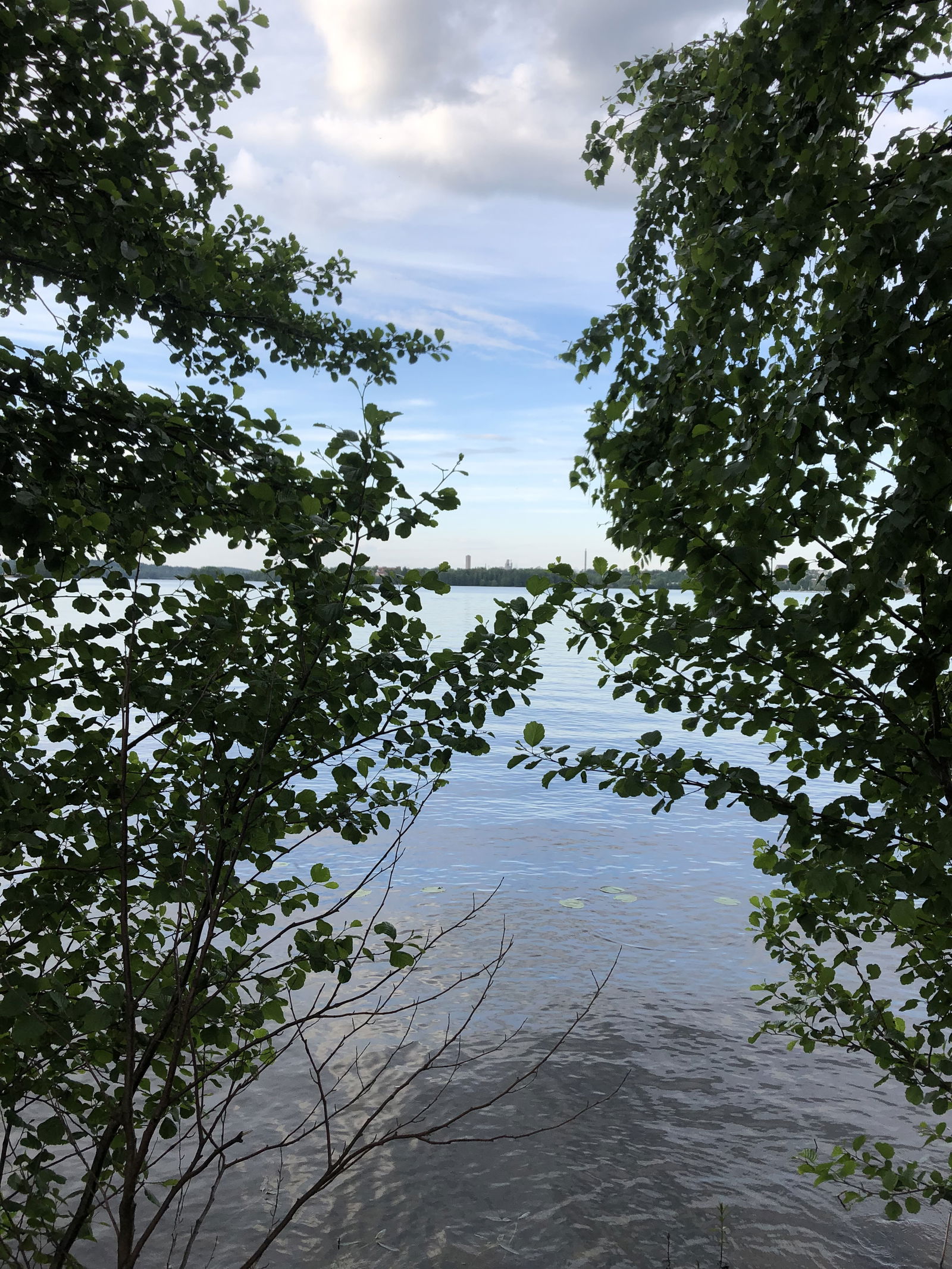 Attentionhobit photo