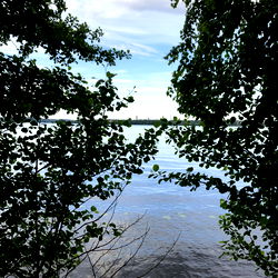 Attentionhobit photo