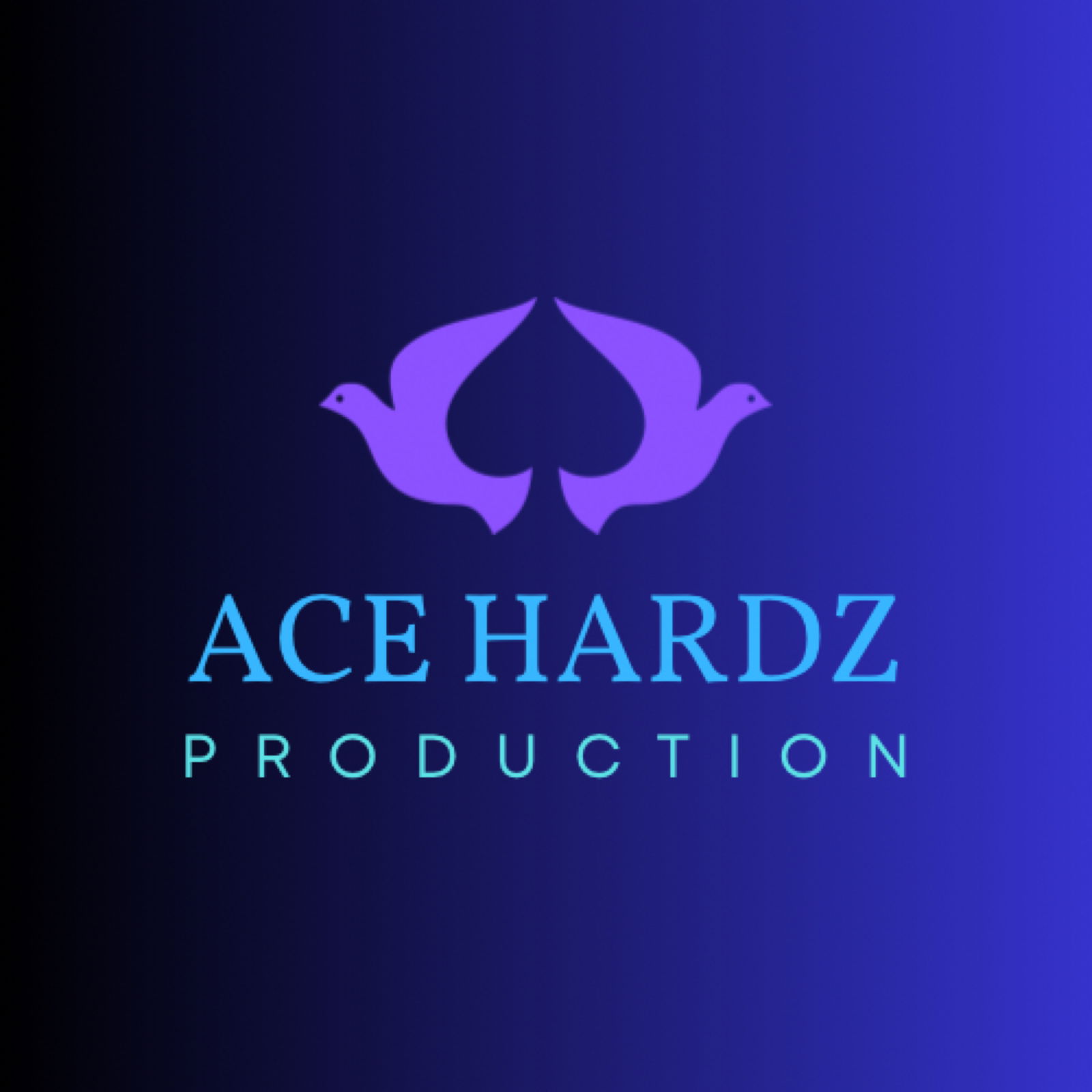 Acehardz photo