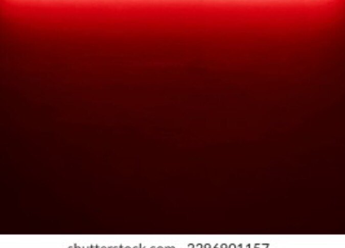 Linda Hermosa Calamitus photo