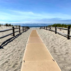 Summer Moon 🤍🥛 photo