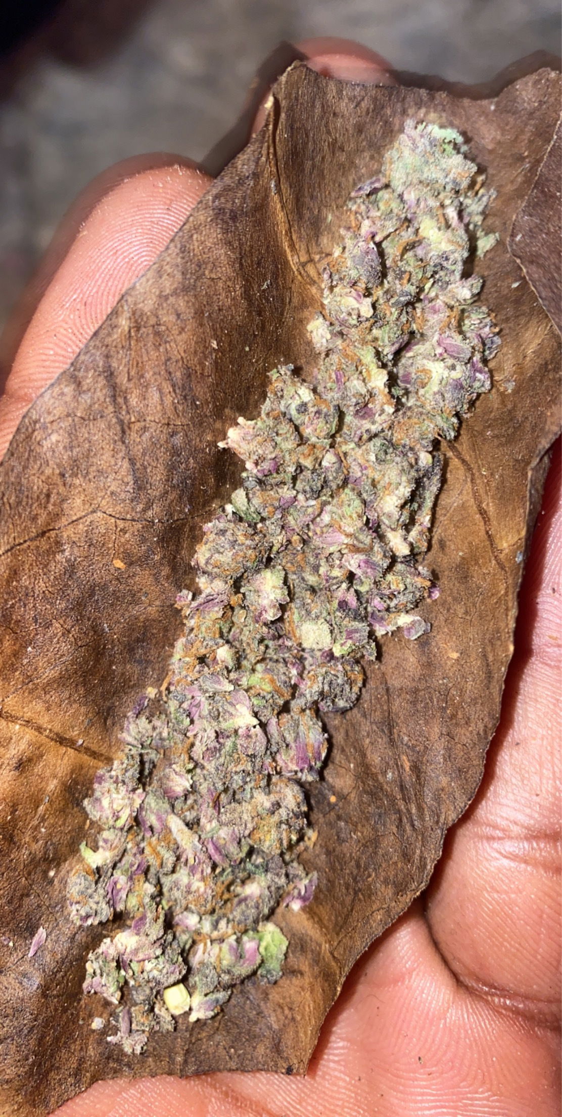 ShottzafterDark photo