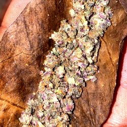 ShottzafterDark photo