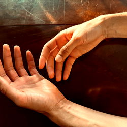 Hands of Holland photo