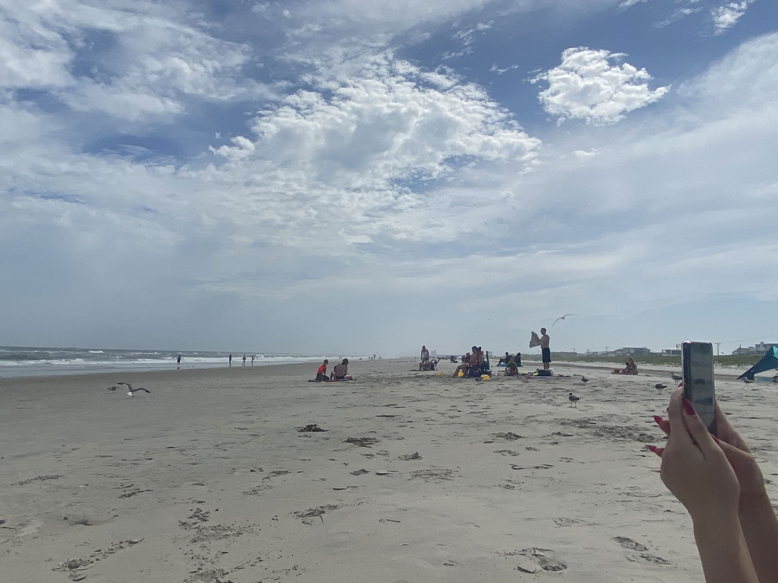 cheshie darling photo