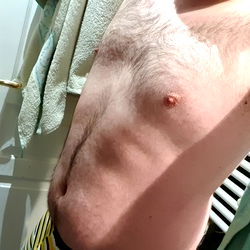 Moustache Bear photo