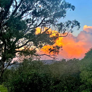 *โง ๐๐๐ฅ๐ฅ๐ โง* photo