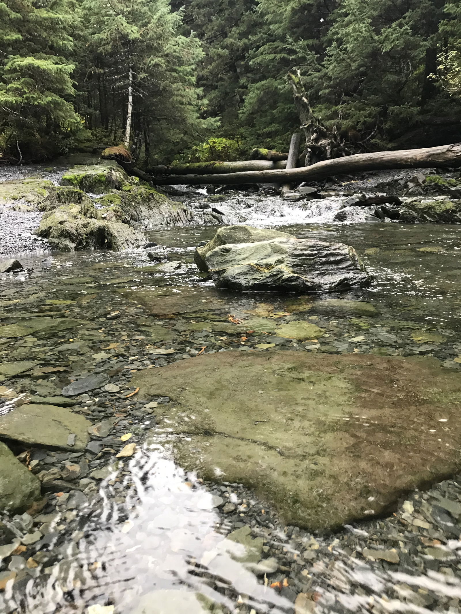 Samantha Douthit photo