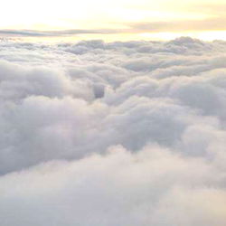 frannie the foxie photo