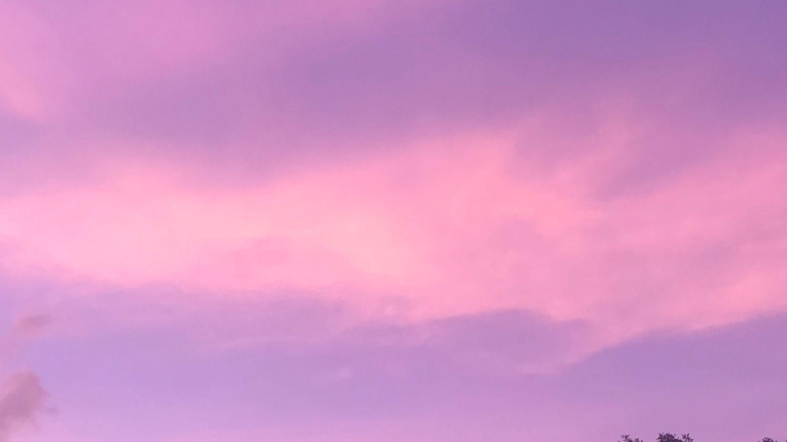 *:･ﾟ✧‎ ｡･  *🌸*:･ﾟ✧‎ ｡･ photo