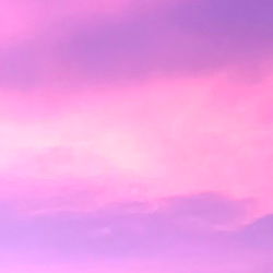 *:･ﾟ✧‎ ｡･  *🌸*:･ﾟ✧‎ ｡･ photo