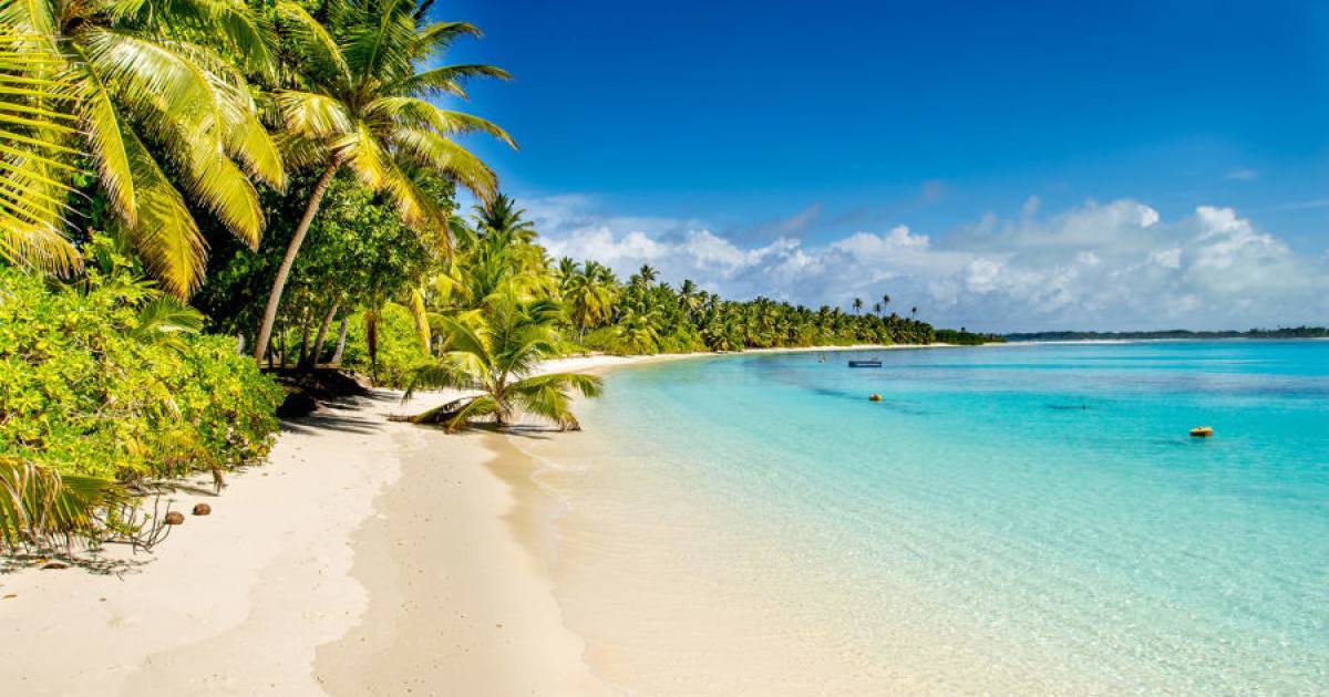 andrea vera rios photo