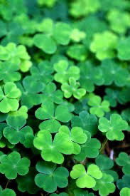 Fabulousjeffo987 photo