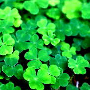 Fabulousjeffo987 photo