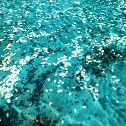 Beneath the Surface of a Teal Ocean