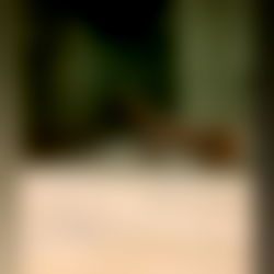 Canadaโs Sweetheart โค๏ธ photo