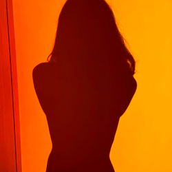 Stylized Silhouette of a Model