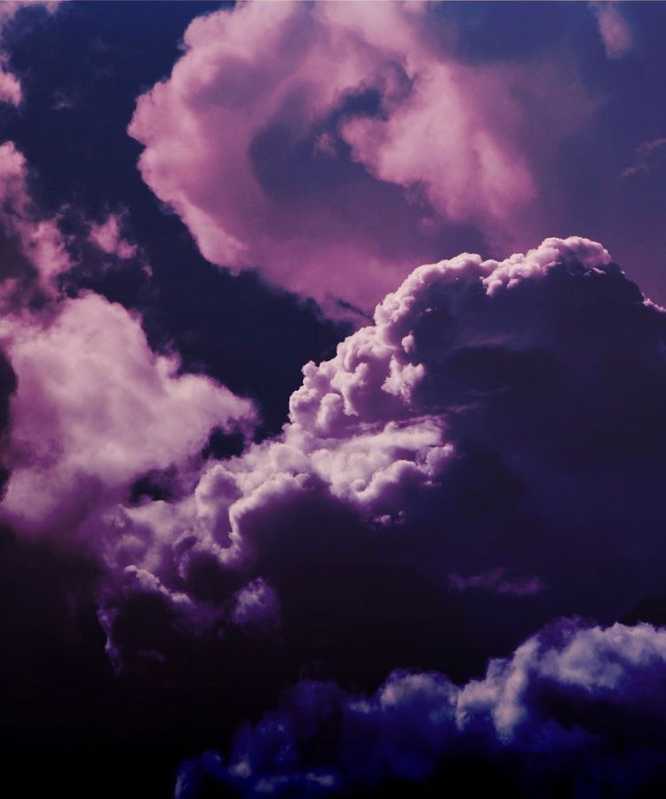 Mariposa Traicionera 🦋 photo