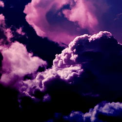 Mariposa Traicionera ๐ฆ photo