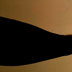 OnlyFans Model Kate, From Canada