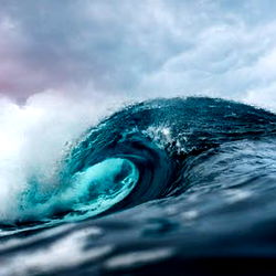 Anonymous Head68 photo