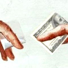 ⊹˙⋆ ༶ .⁺˖  ˖⁺. ༶ ⋆˙⊹ photo