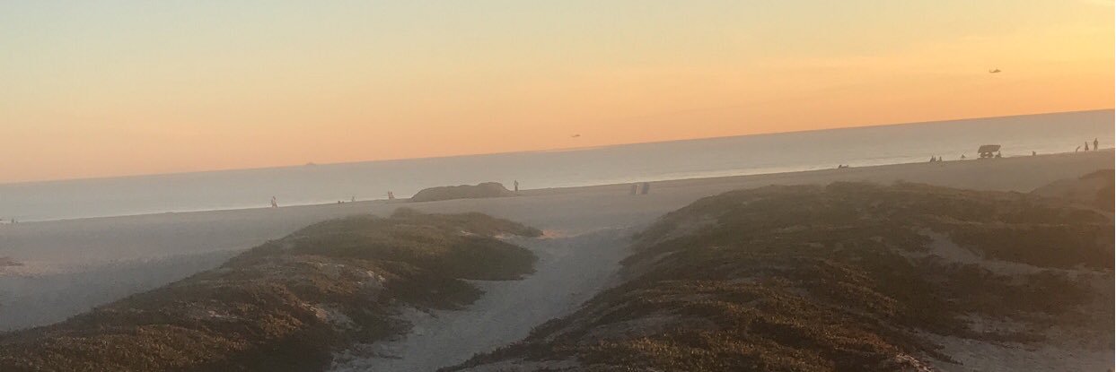 princess daisy photo