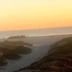 princess daisy photo