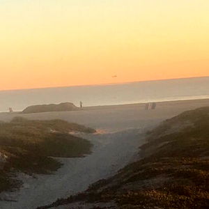 princess daisy photo