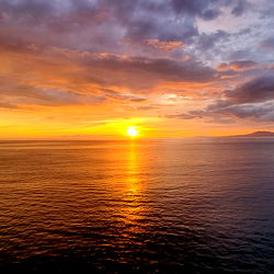 Andromedacisne photo