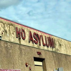 Luci Purrs 💀🍀🥺 photo