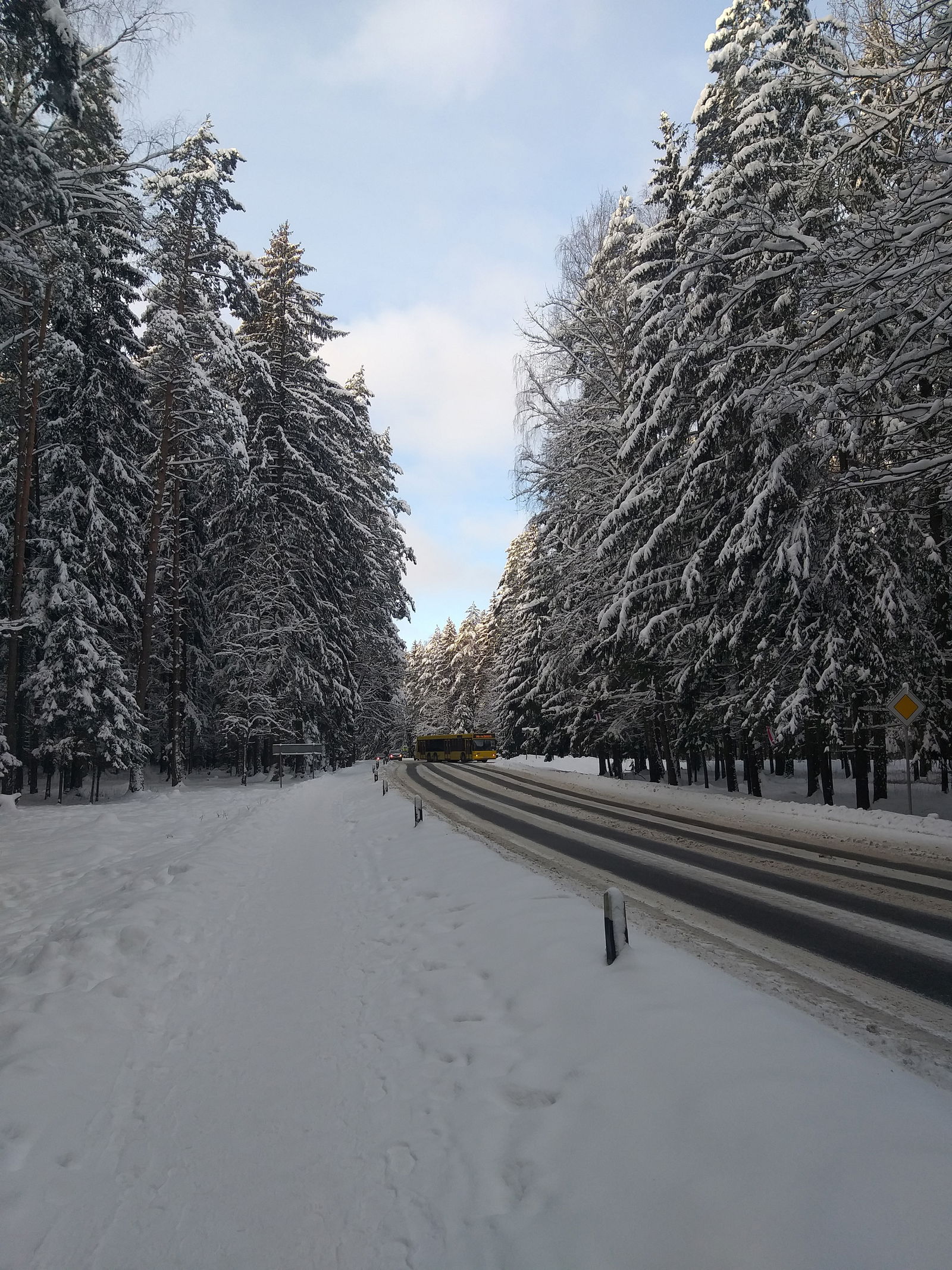 Александр Герасимов photo