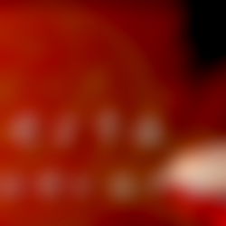 Ernesta aka Guevara photo