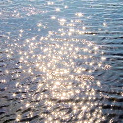 5cr4pp3dpr1nc3 photo