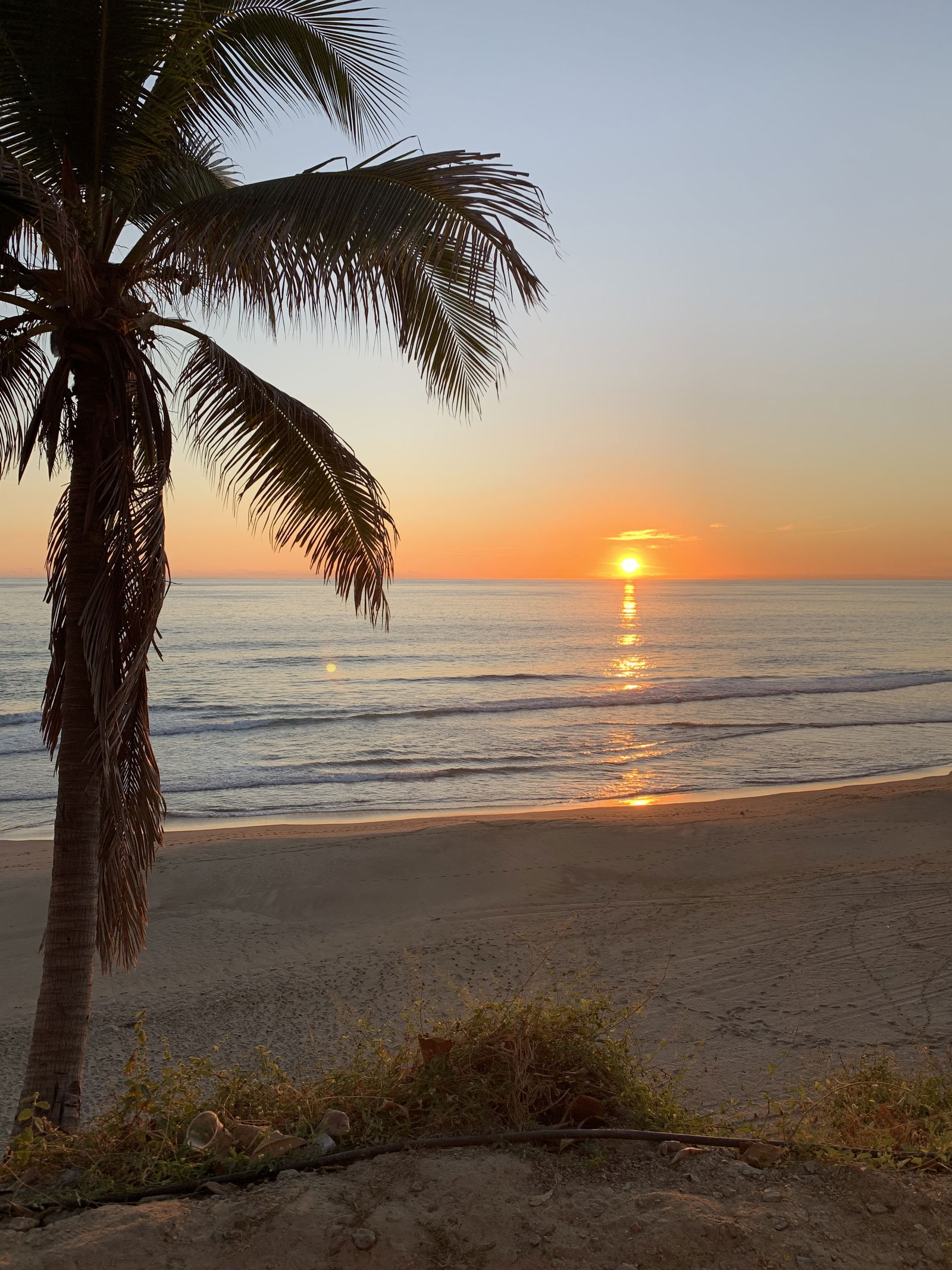 Jessie Gonzalez photo