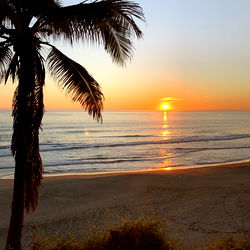 Jessie Gonzalez photo