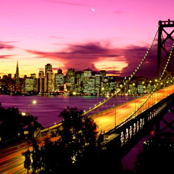 Sweetdicklavishwillie photo