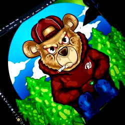 Custom-Designed Teddy Bear with Baseball Cap