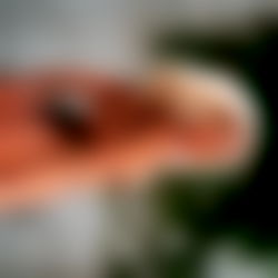 Deelz ๐ธ๐ (YOUR FAVORITE NAUGHTY BLONDIE) photo