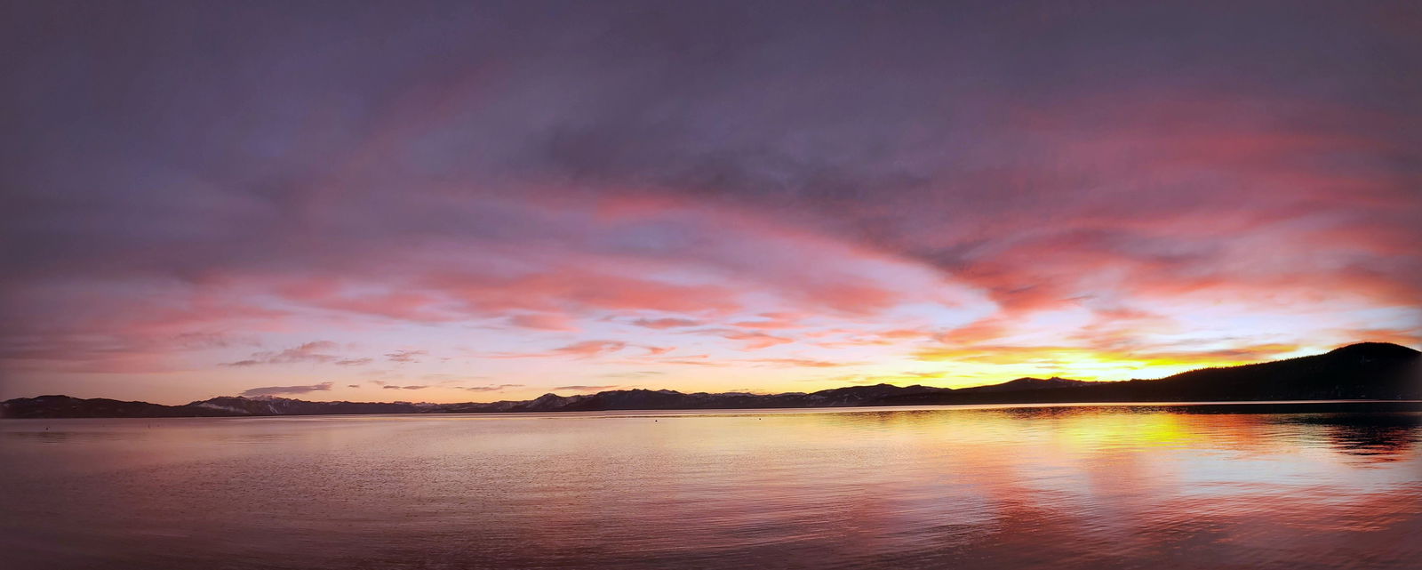 ayeliketowatch photo