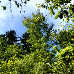 maryx๐ง๐ผ photo