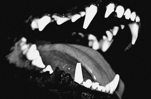 Man Eater After Tha Day photo